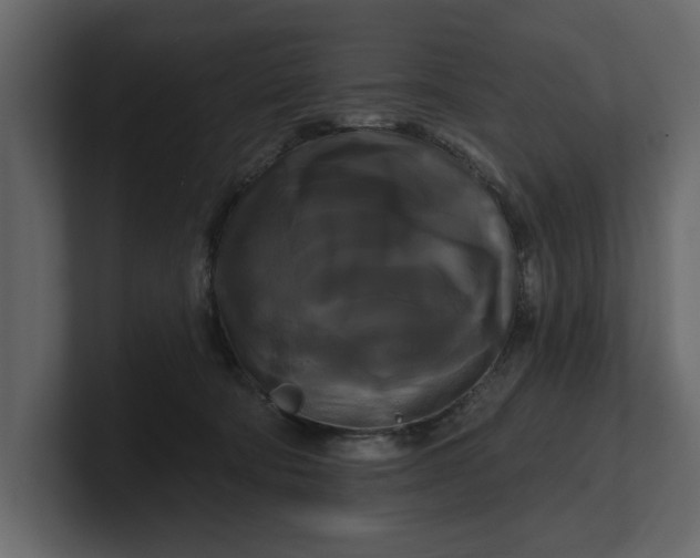 X0000100920322200807151228