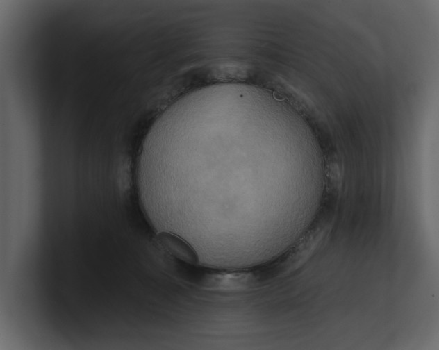 X0000100920323200807151227