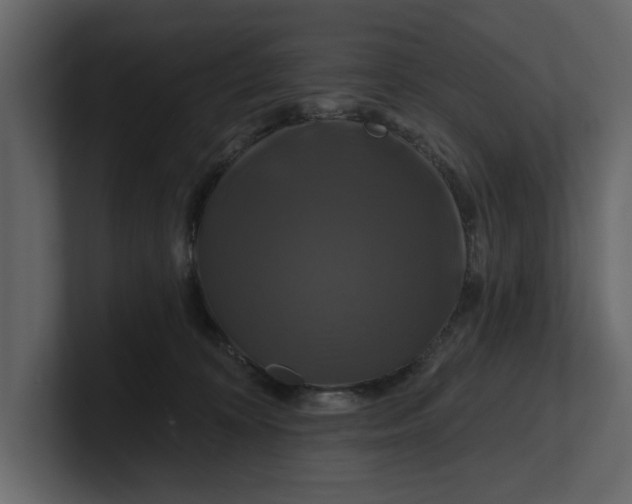X0000100920324200807151227