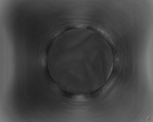 X0000100920325200807151227