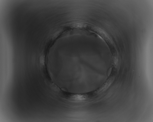 X0000100920326200807151227
