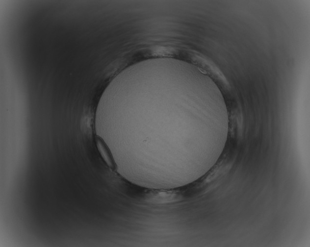 X0000100920329200807151227