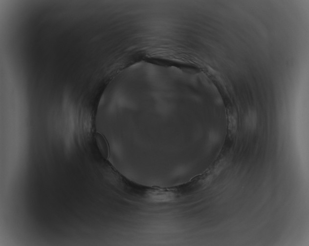 X0000100920331200807151227