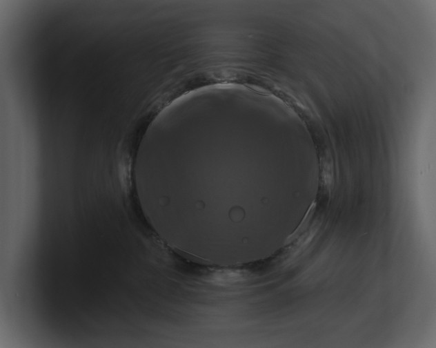 X0000100920332200807151227