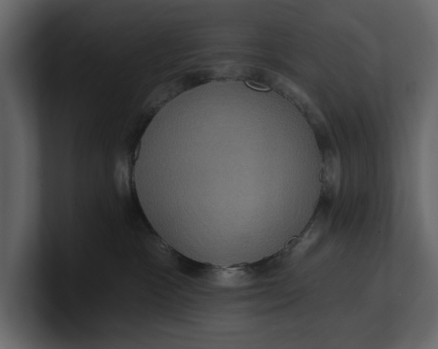 X0000100920333200807151227