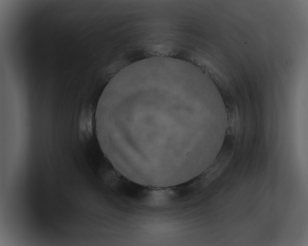 X0000100920334200807151227