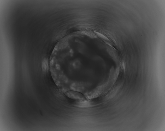 X0000100920335200807151227