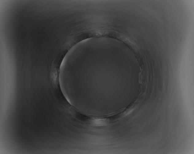 X0000100920336200807151227