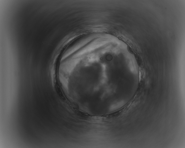 X0000100920339200807151227
