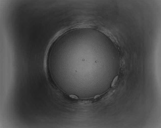 X0000100920340200807151227