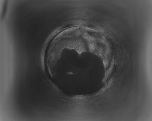 X0000100920341200807151227