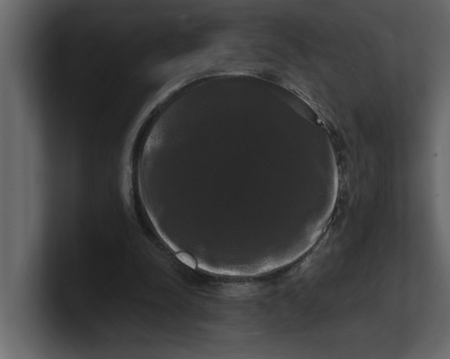 X0000100920342200807151227