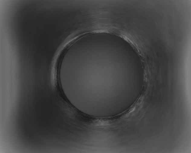 X0000100920343200807151227