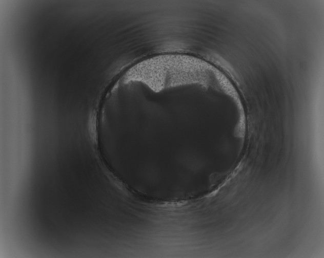X0000100920345200807151227