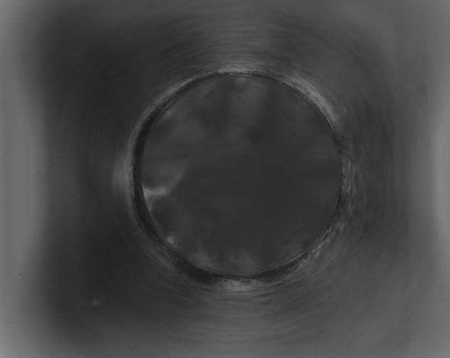 X0000100920346200807151227