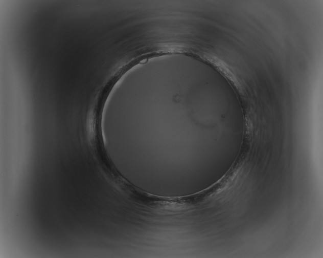 X0000100920347200807151227