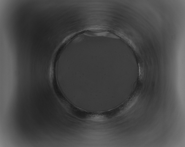 X0000100920348200807151227