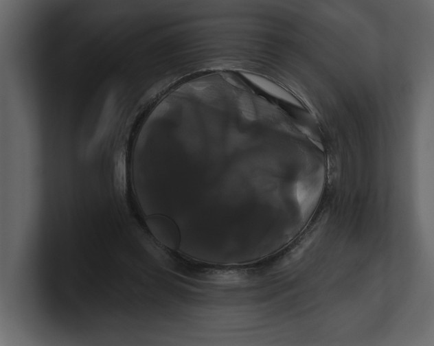 X0000100920349200807151227
