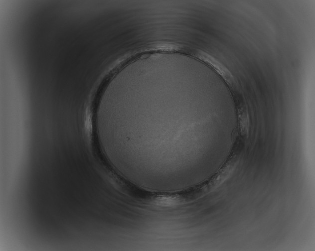 X0000100920350200807151227