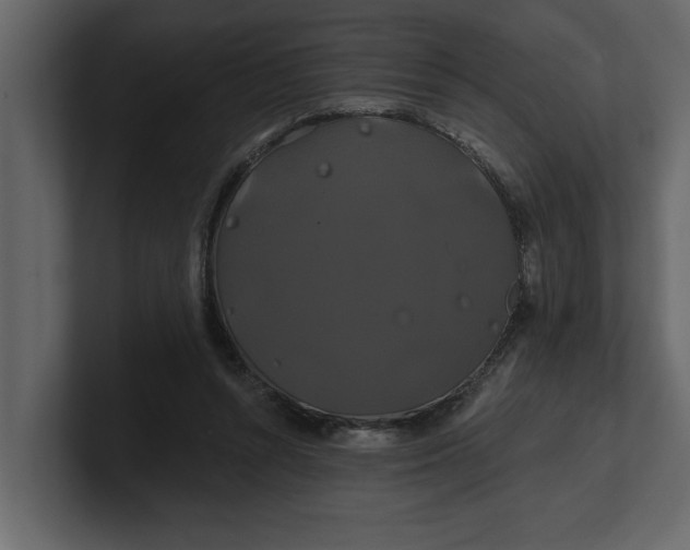 X0000100920352200807151227
