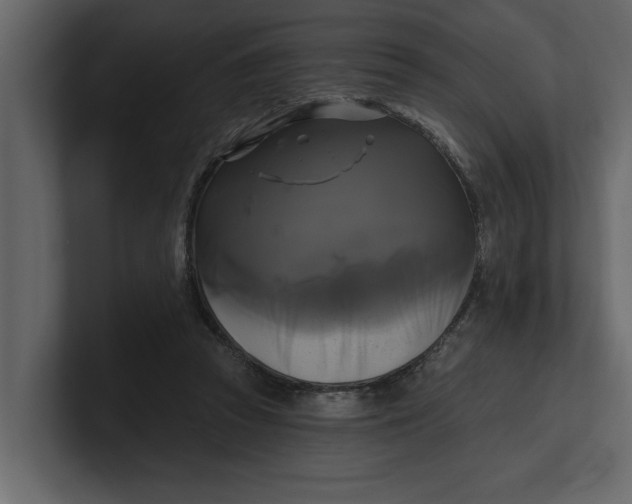 X0000100920353200807151227
