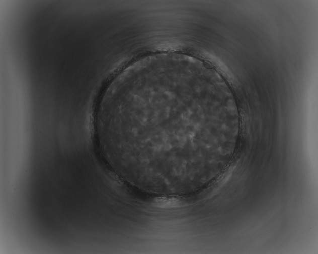 X0000100920354200807151227