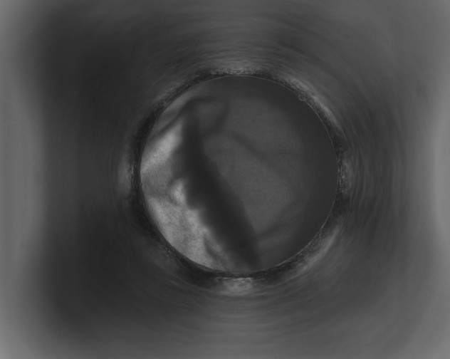 X0000100920355200807151227