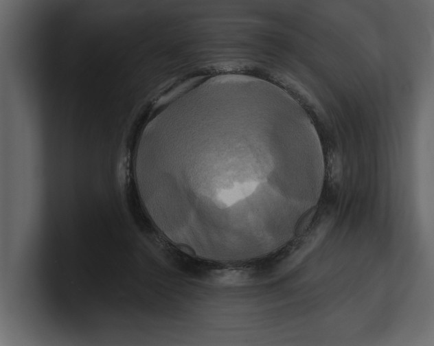 X0000100920356200807151227