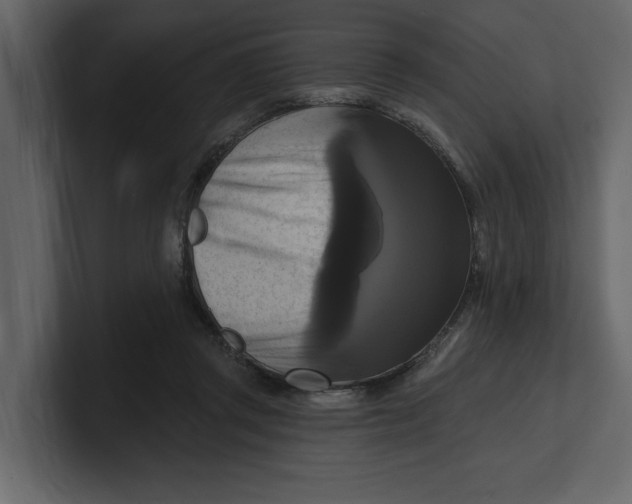 X0000100920357200807151227
