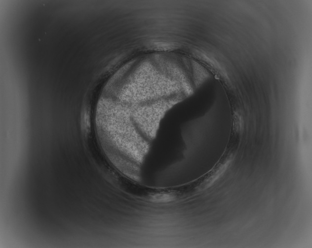 X0000100920358200807151227