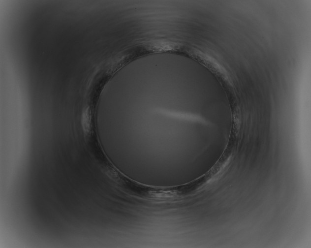 X0000100920359200807151227