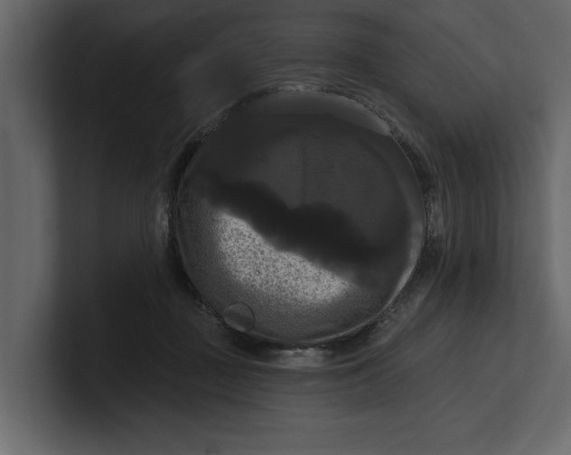X0000100920363200807151227
