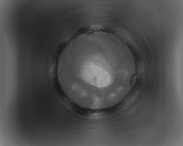 X0000100920364200807151227