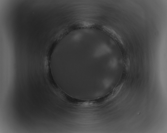 X0000100920366200807151227