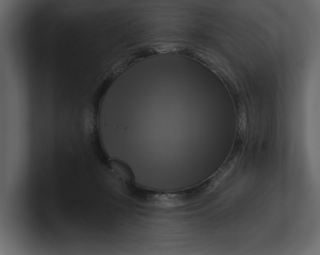 X0000100920367200807151227