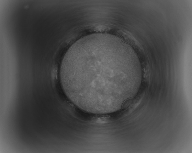 X0000100920368200807151227