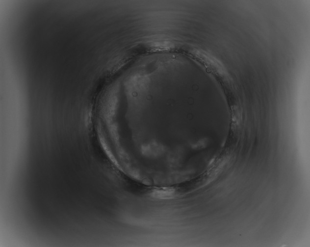 X0000100920369200807151227