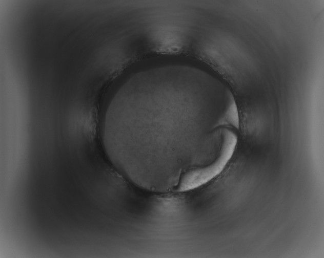 X0000100920370200807151227