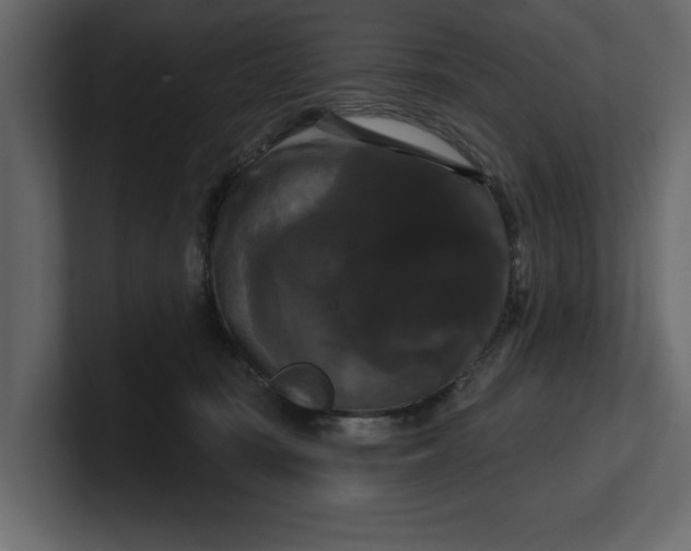 X0000100920371200807151227