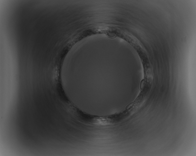 X0000100920372200807151227