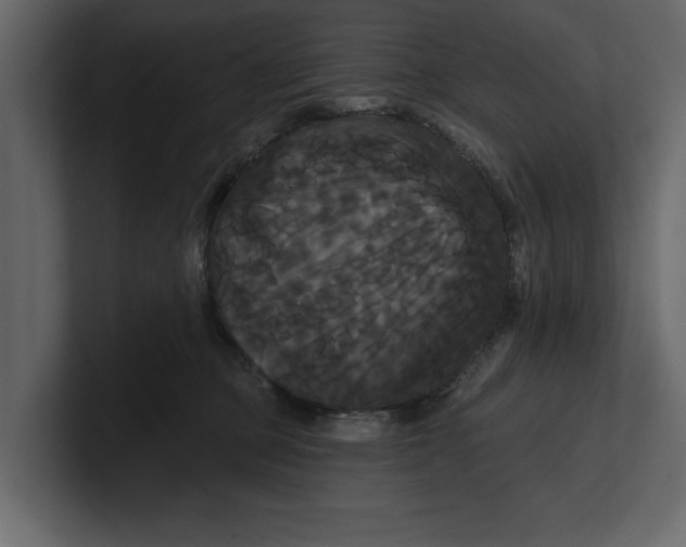 X0000100920373200807151227