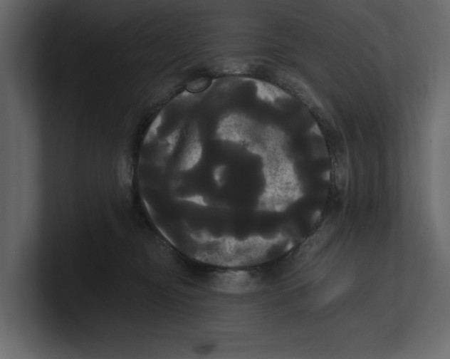 X0000100920374200807151227