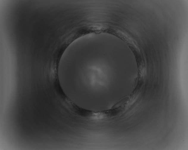 X0000100920376200807151227