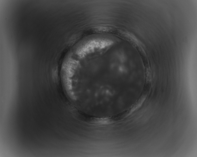 X0000100920377200807151227