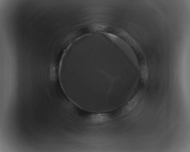 X0000100920378200807151227
