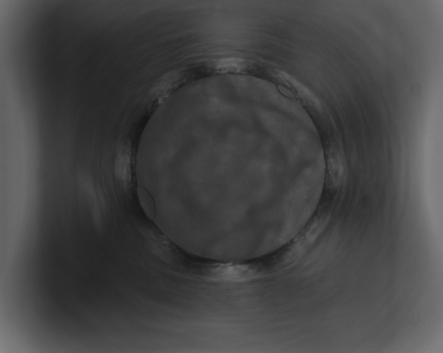 X0000100920379200807151227