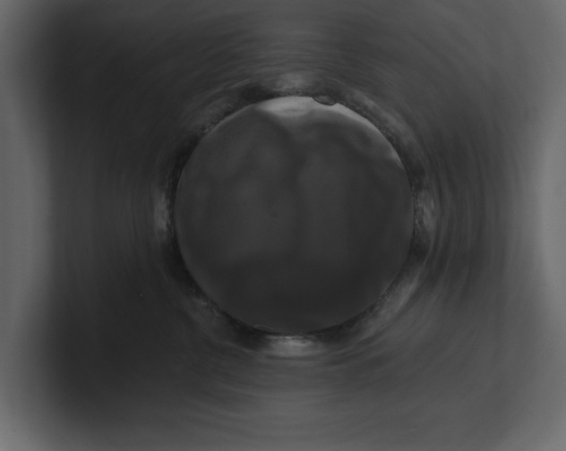 X0000100920380200807151227