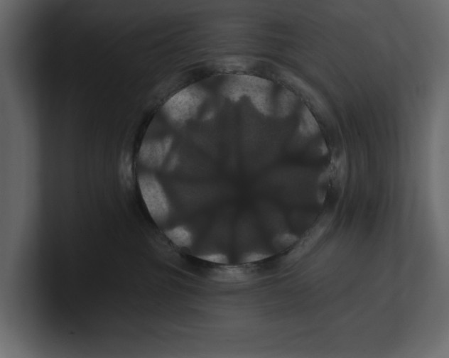X0000100920381200807151227