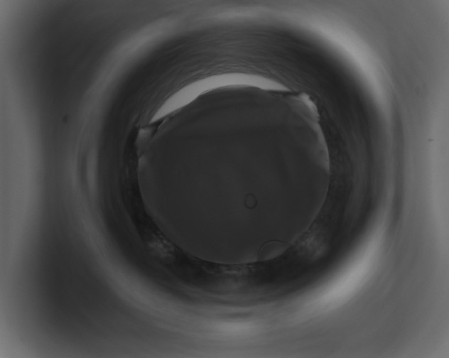 X0000100920382200807151227