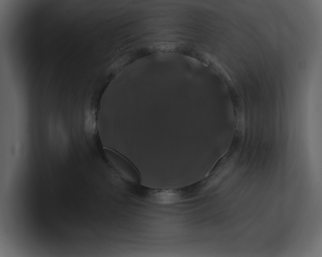 X0000100920383200807151227